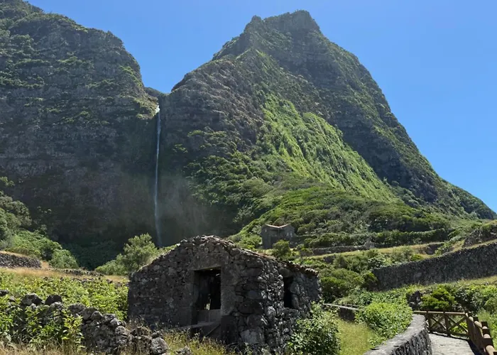 Moradia Flores Terra Chã *