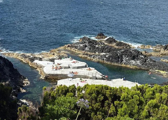 Moradia Flores Terra Chã *